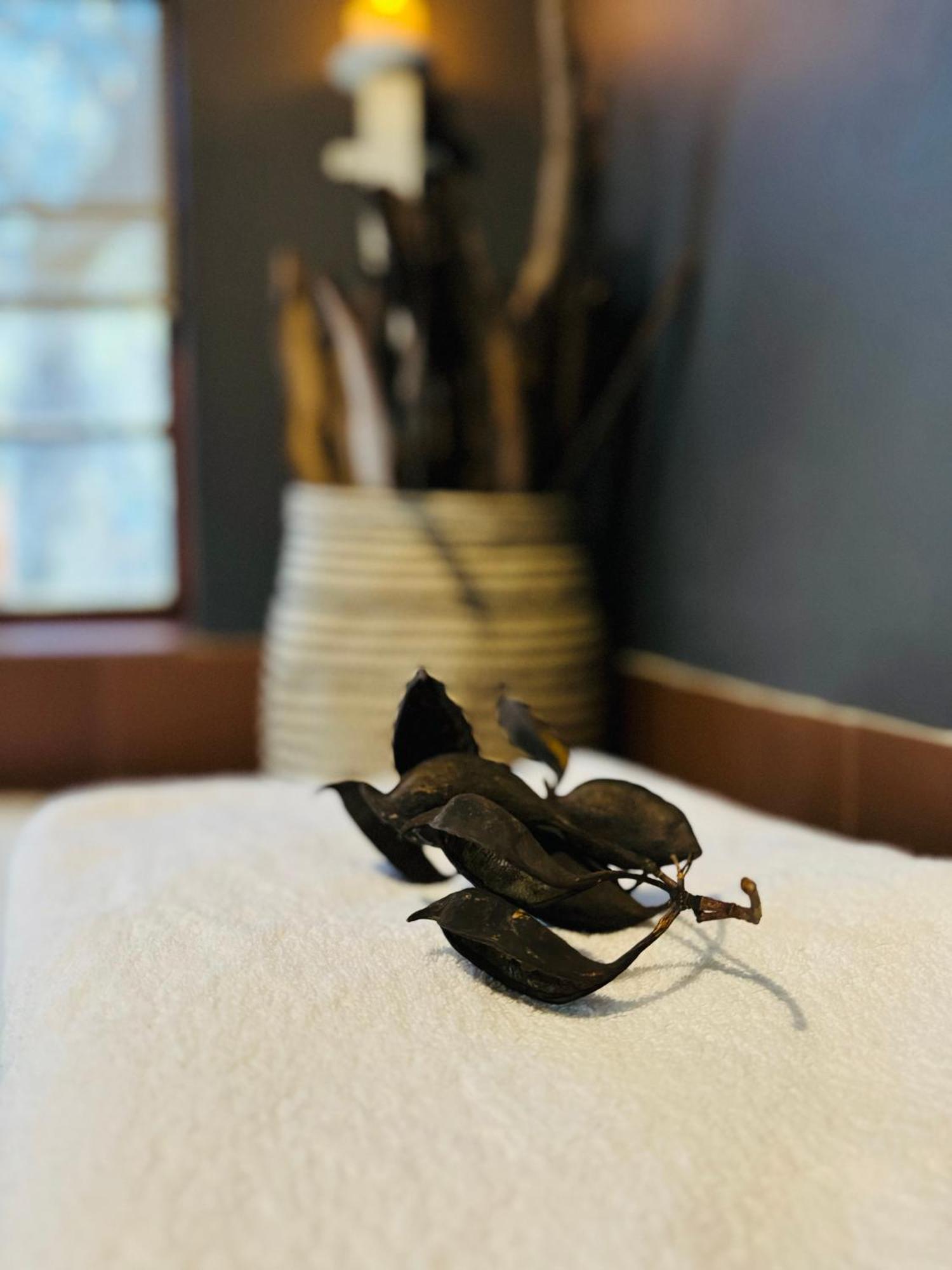 Megumi - Vaal Riverside Retreat - Loadshedding Friendly Parys Exterior foto